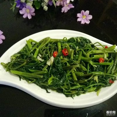 汉南区盆栽花卉租摆地方 郑州多肉批发哪里进货最便宜？